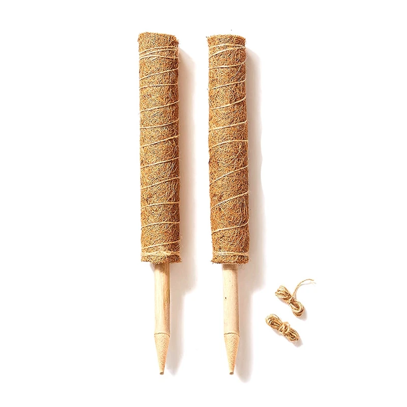 NEW-2 Natural Coconut Palm Sticks-Support the Forward Growth of Indoor Plants-Use Plant Support Poles Alone or Together
NEW-2 Natural Coconut Palm Sticks-Support the Forward Growth of Indoor Plants-Use Plant Support Poles Alone or Together
