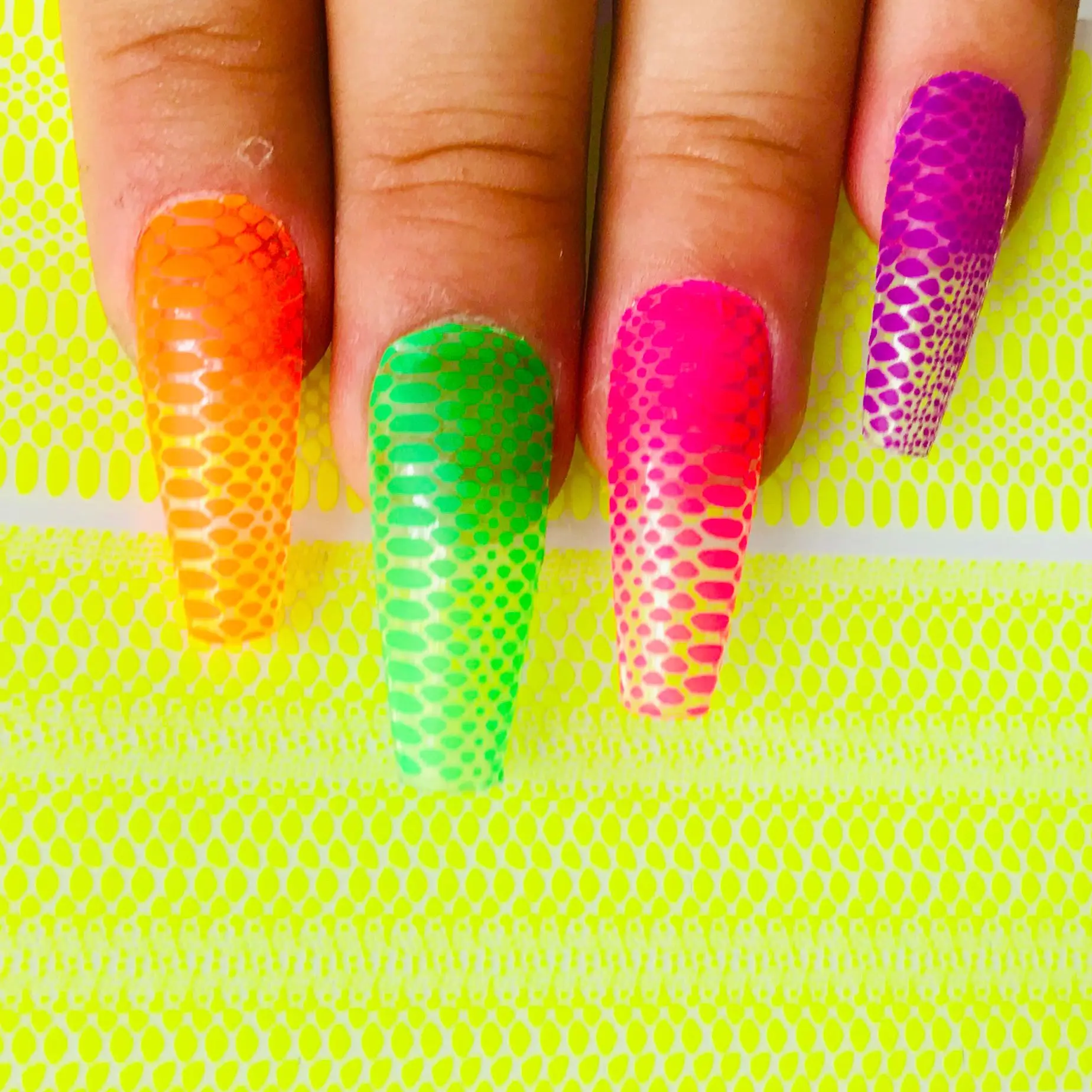 Manicure Nail Transfer Decals Mesh Decorations 3D Nails Stickers Snake Print Design Snakeskin
Manicure Nail Transfer Decals Mesh Decorations 3D Nails Stickers Snake Print Design Snakeskin