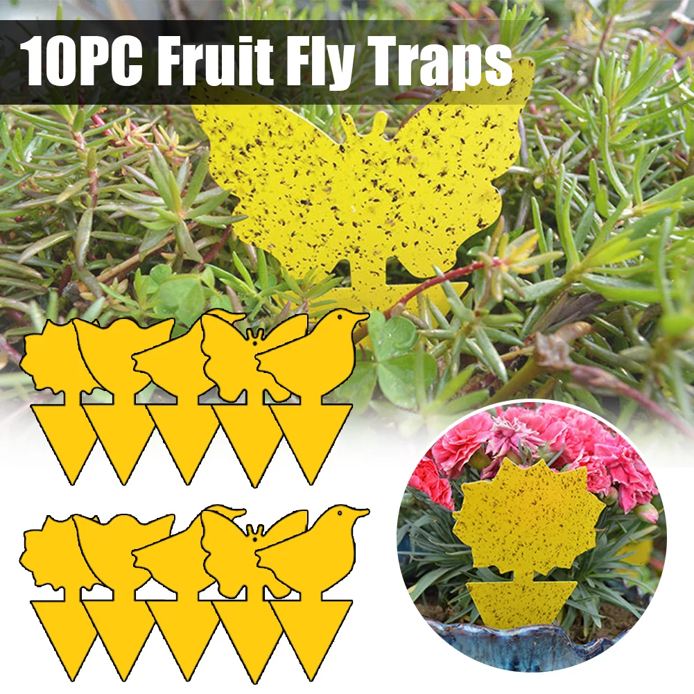 10pcs Flie Traps Bugs Sticky Board Dual-Sided Sticky Traps Flying Plant Insect Catcher Yellow Stickers Adhesive Trap
10pcs Flie Traps Bugs Sticky Board Dual-Sided Sticky Traps Flying Plant Insect Catcher Yellow Stickers Adhesive Trap