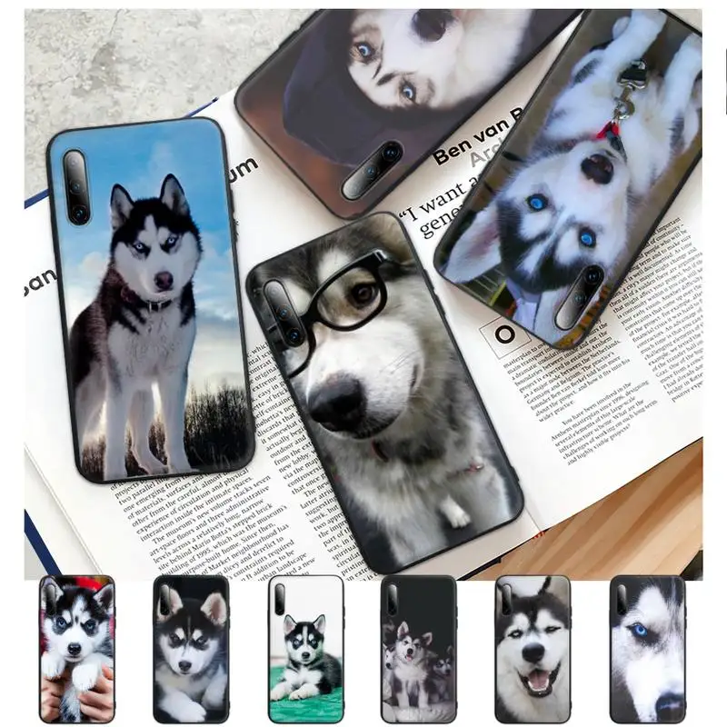 Animal Husky Cute Puppy Dog Silicone Phone Cover Case For Samsung A51 A71 A50 A21 A20 A20E A31 A30 A40 A70 A01 A10 A11 A30S
Animal Husky Cute Puppy Dog Silicone Phone Cover Case For Samsung A51 A71 A50 A21 A20 A20E A31 A30 A40 A70 A01 A10 A11 A30S
