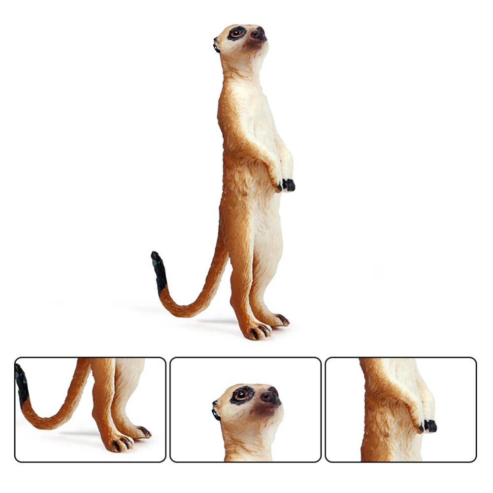 Моделирование стоя Meerkat диких животных фигурку рабочего стола орнамент детская