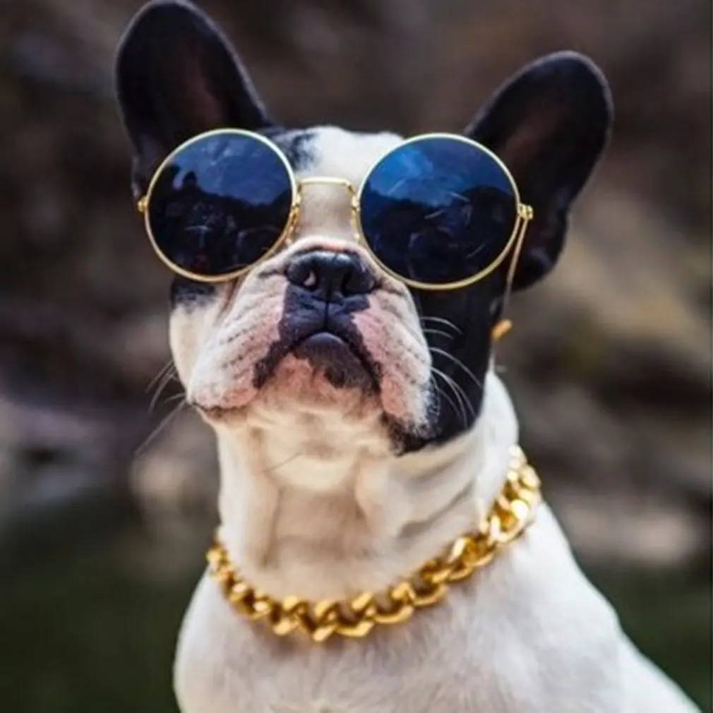 Luxury Design Puppies Dogs High Class Collar Necklace Pet Supplies Adjustable Cute Charm Bling Shiny Pet Collar
Luxury Design Puppies Dogs High Class Collar Necklace Pet Supplies Adjustable Cute Charm Bling Shiny Pet Collar