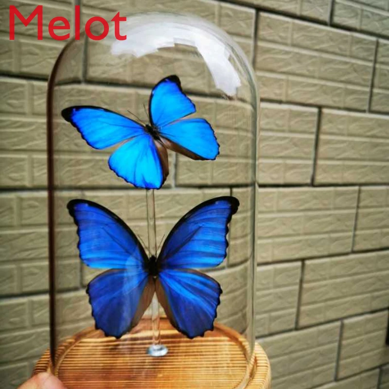 Butterfly Specimen Big Blue Butterfly Home Decoration Sealed Glass European Gift Decorations Collection Souvenirs Decor Nordic
Butterfly Specimen Big Blue Butterfly Home Decoration Sealed Glass European Gift Decorations Collection Souvenirs Decor Nordic