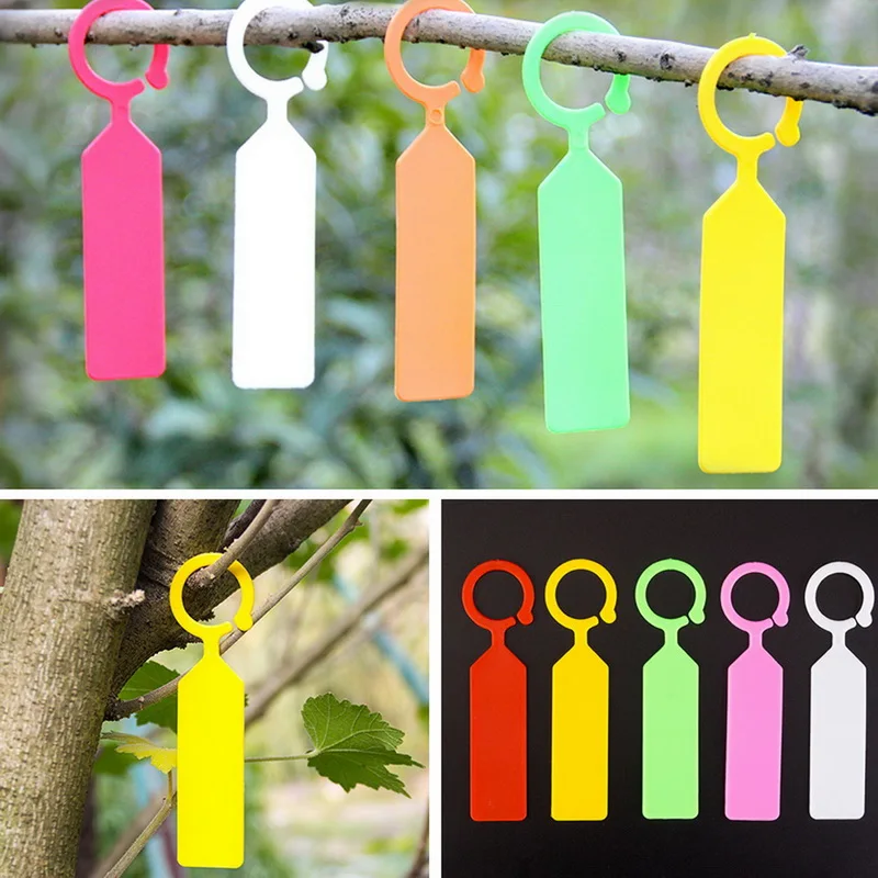 New Grape Labels Melon Fruit Tags Multifunction Portable Grape Sign board Plant Label Garden Decoration
New Grape Labels Melon Fruit Tags Multifunction Portable Grape Sign board Plant Label Garden Decoration