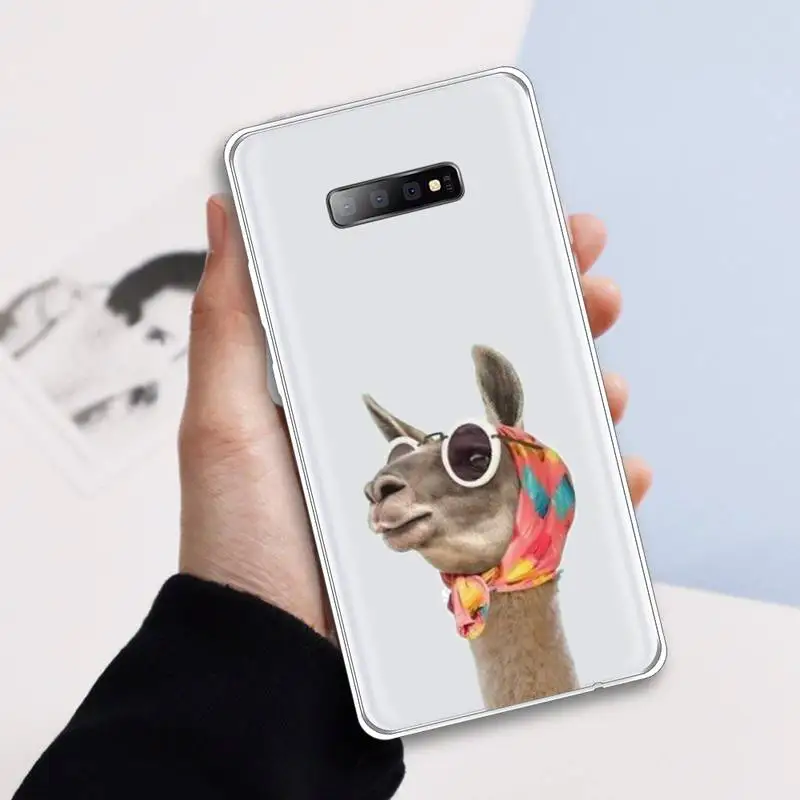 Giraffe hedgehog Animal Phone Case Transparent for samsung A 21s 50 71 S 8 9 20 20fe note 10 20 ultra plus
Giraffe hedgehog Animal Phone Case Transparent for samsung A 21s 50 71 S 8 9 20 20fe note 10 20 ultra plus