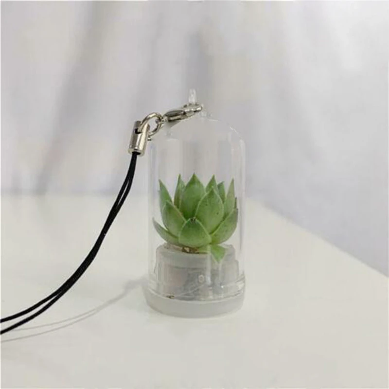 2PCs Random Mini Succulent Cactus Plant Keychain with Glass Cover Green Fleshy Plant Pendant Keyring Charm Craft Gifts for Women
2PCs Random Mini Succulent Cactus Plant Keychain with Glass Cover Green Fleshy Plant Pendant Keyring Charm Craft Gifts for Women
