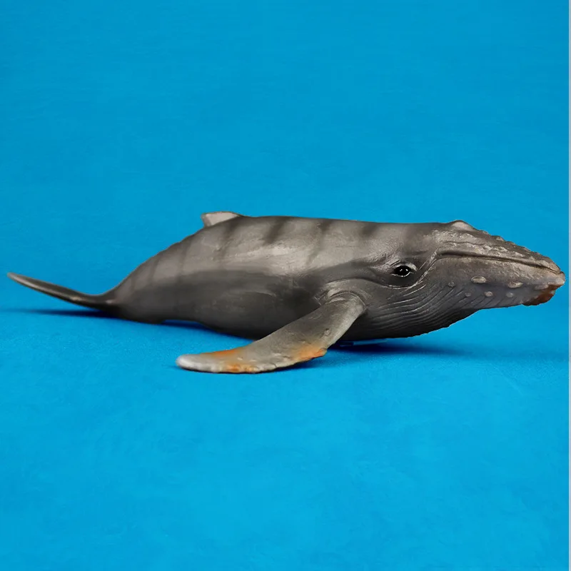 Little Humpback Whale Simulation Model Marine Animals Sea Animal Kids Gift Educational Props Action Figures
Little Humpback Whale Simulation Model Marine Animals Sea Animal Kids Gift Educational Props Action Figures