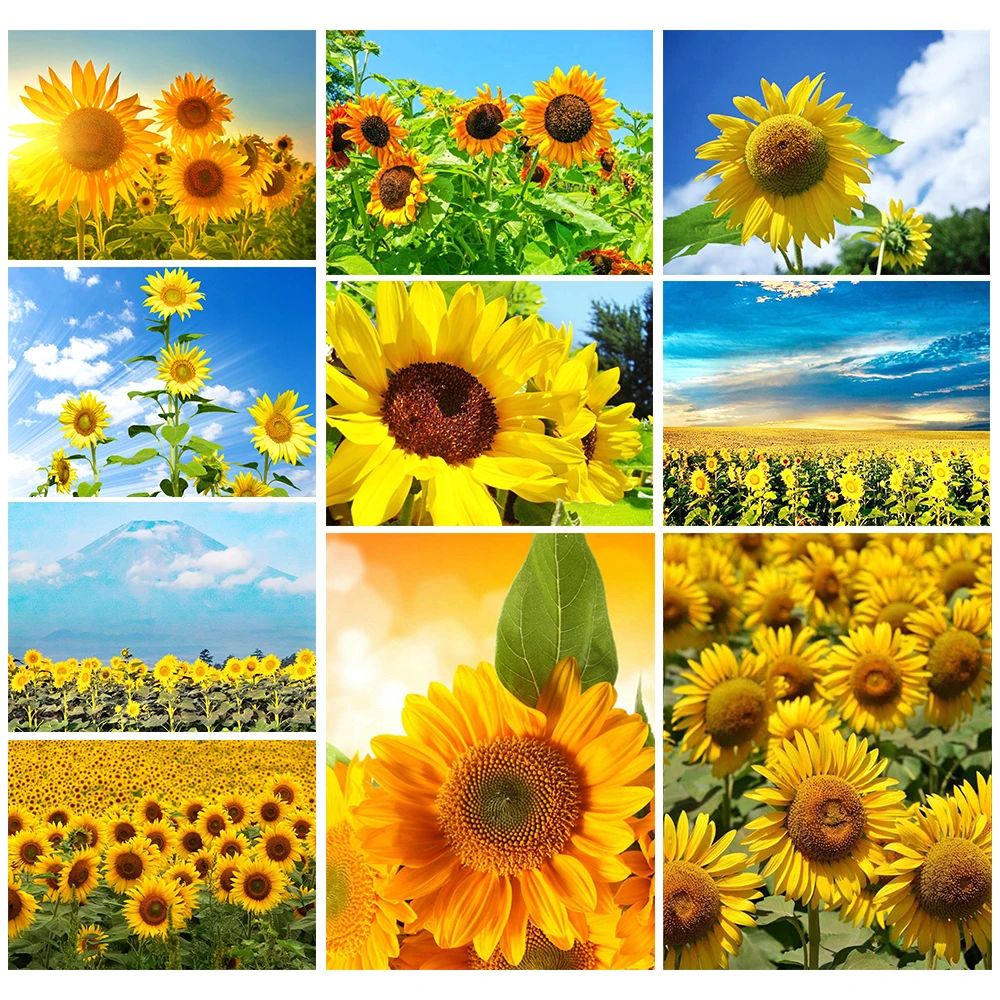 Алмазная 5D картина с растениями «сделай сам», инкрустированная подсолнухами вышивка, полная круглая квадратная мозаика, ручная работа, кар... 
Алмазная 5D картина с растениями «сделай сам», инкрустированная подсолнухами вышивка, полная круглая квадратная мозаика, ручная работа, кар...