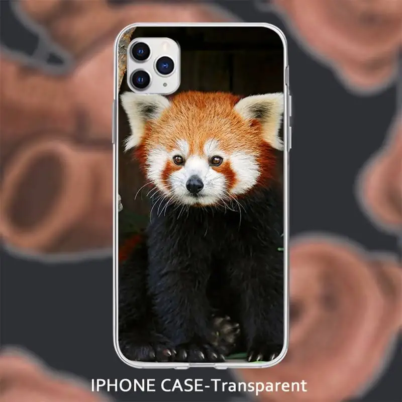 Ailurus fulgens cute Transparent soft cover case for iphone se 2020 6 6s 7 8 plus x xs max xr 11 12 pro max coque
Ailurus fulgens cute Transparent soft cover case for iphone se 2020 6 6s 7 8 plus x xs max xr 11 12 pro max coque
