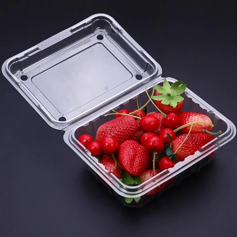 25Pcs Disposable Transparent Plastic Packaging Box with Cover, Disposable Plastic to Go Boxes Cake Container, Hamburgers Box 
25Pcs Disposable Transparent Plastic Packaging Box with Cover, Disposable Plastic to Go Boxes Cake Container, Hamburgers Box