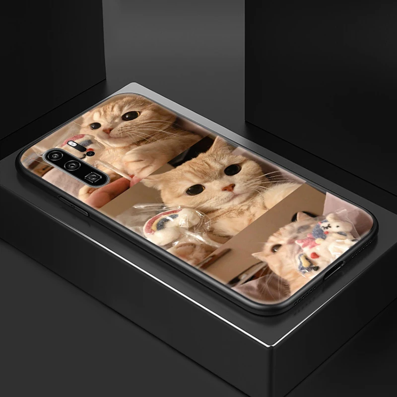 Phone Case For Huawei P40 Pro Plus Lite P30 Pro Lite Cases Back Cover Soft TPU Cute Cat In Clothes Funny Pet Cat
Phone Case For Huawei P40 Pro Plus Lite P30 Pro Lite Cases Back Cover Soft TPU Cute Cat In Clothes Funny Pet Cat