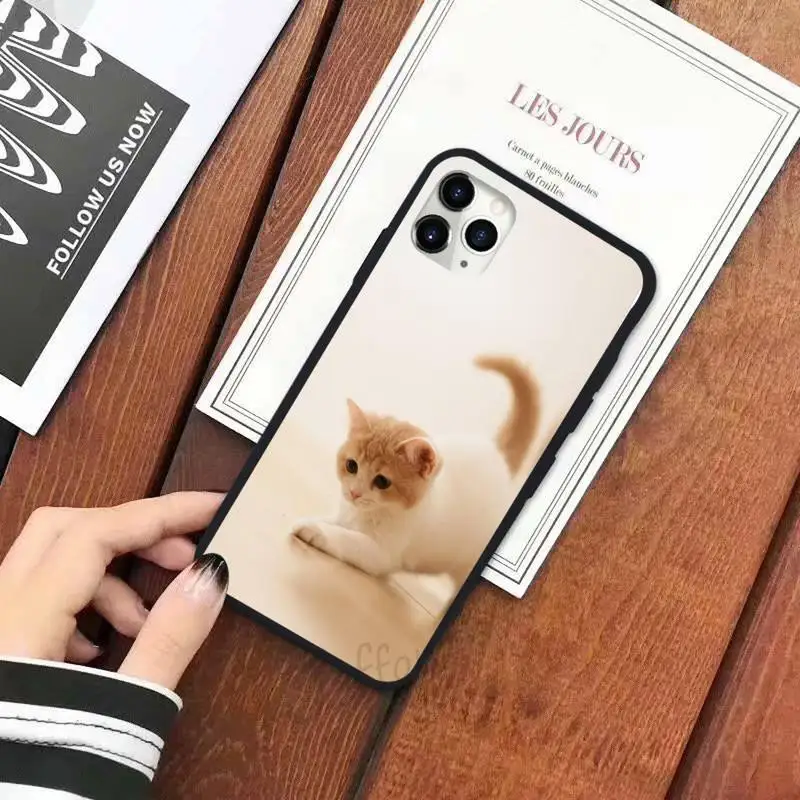 Cute animal Cat Phone Case for iPhone 11 12 pro XS MAX 8 7 6 6S Plus X 5S SE 2020 XR
Cute animal Cat Phone Case for iPhone 11 12 pro XS MAX 8 7 6 6S Plus X 5S SE 2020 XR