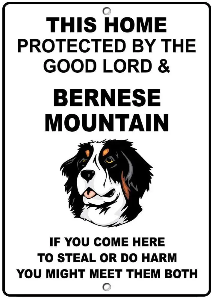 Bernese Mountain Dog Protected by Good Lord and Poster Funny Art Decor Vintage Aluminum Retro Metal Tin Sign 20x30cm
Bernese Mountain Dog Protected by Good Lord and Poster Funny Art Decor Vintage Aluminum Retro Metal Tin Sign 20x30cm