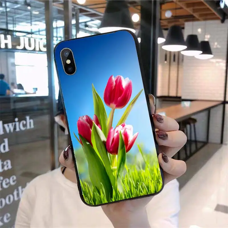Tulip flower Phone Case for iPhone 11 12 pro XS MAX 8 7 6 6S Plus X 5S SE 2020 mini
Tulip flower Phone Case for iPhone 11 12 pro XS MAX 8 7 6 6S Plus X 5S SE 2020 mini