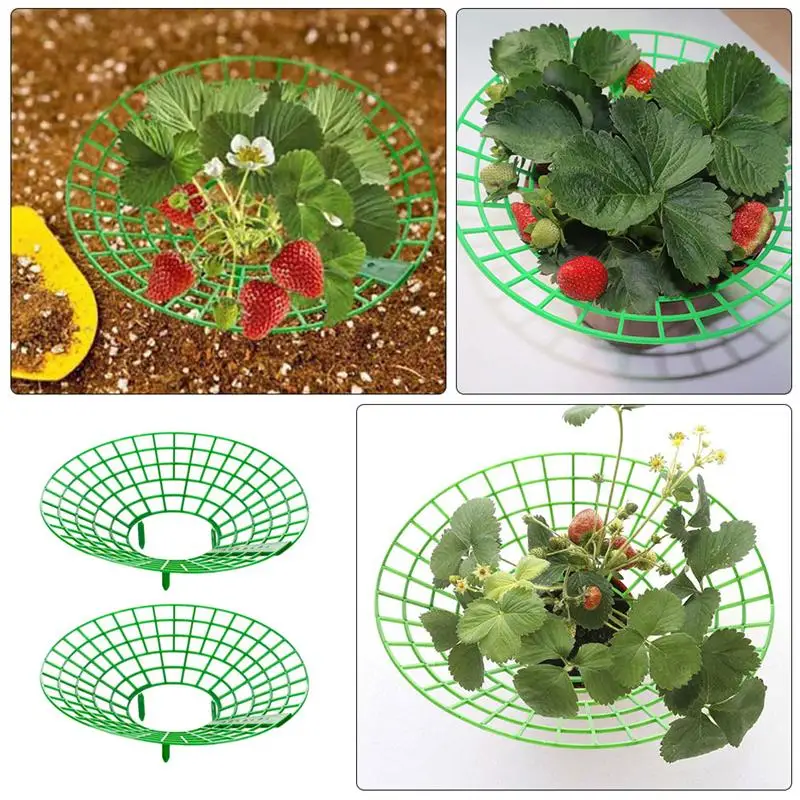 2pcs Garden Plant Climbing Supports Strawberry Rack Planting Rack Garden Planter Tool (Green)
2pcs Garden Plant Climbing Supports Strawberry Rack Planting Rack Garden Planter Tool (Green)