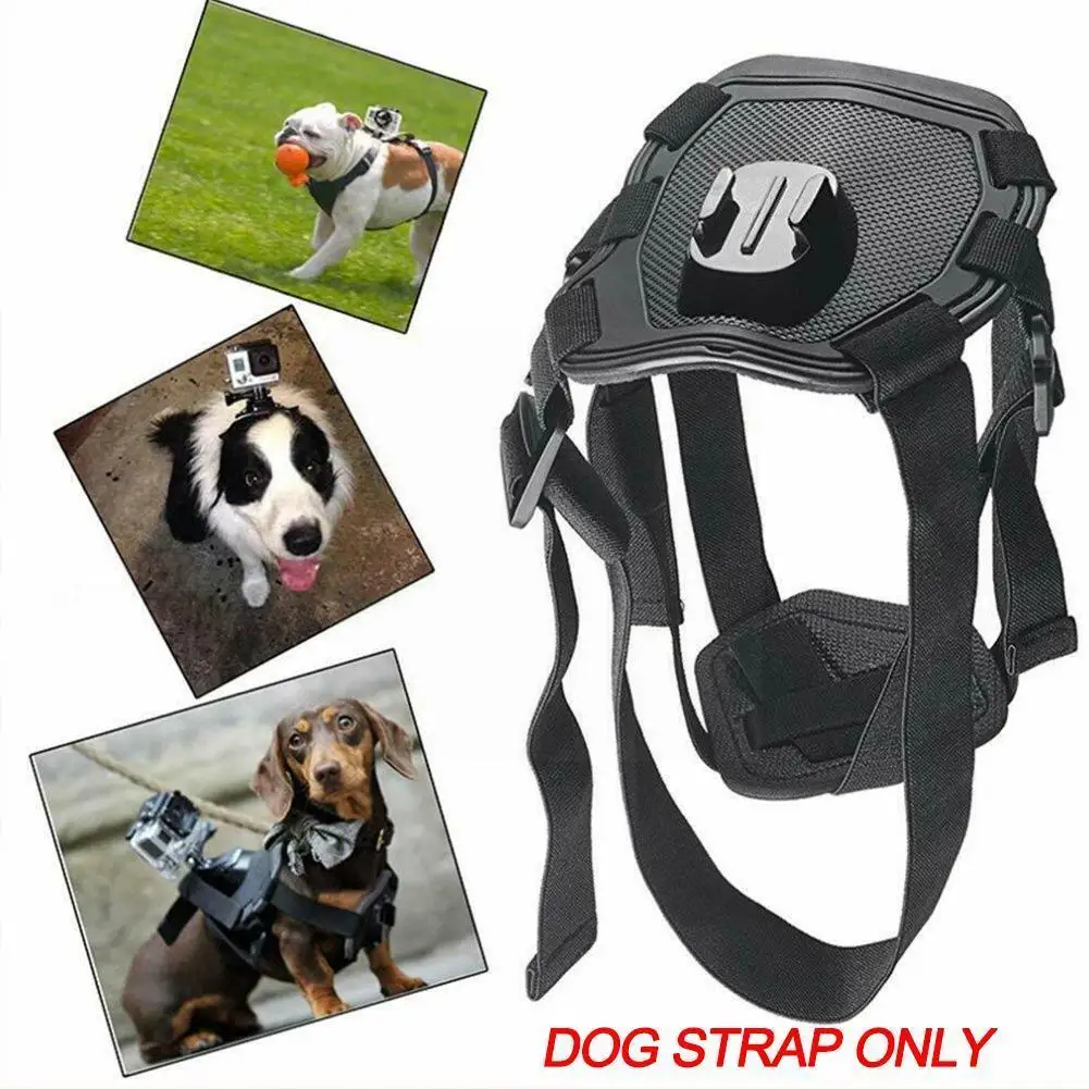 Pet Fetch Dog Harness Chest Strap for GoPro Hero 9 8 7 6 5 4 Session DJI Action Camera Go Pro Accessory C3I9
Pet Fetch Dog Harness Chest Strap for GoPro Hero 9 8 7 6 5 4 Session DJI Action Camera Go Pro Accessory C3I9