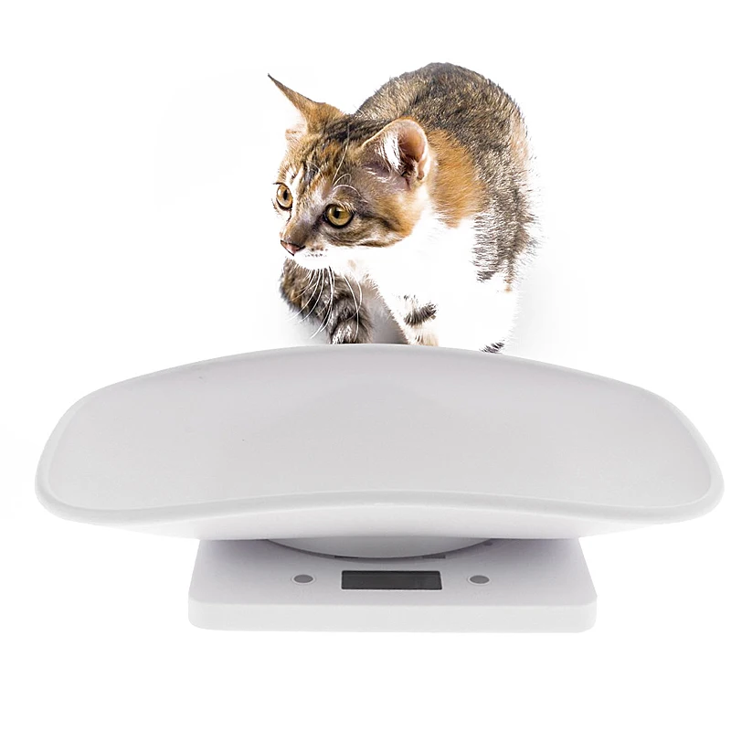 10Kg/1g Digital Scale Lcd Pet Electronic Weighing Scale Mini Precision Grams Weight For Measure Puppy High Precision
10Kg/1g Digital Scale Lcd Pet Electronic Weighing Scale Mini Precision Grams Weight For Measure Puppy High Precision