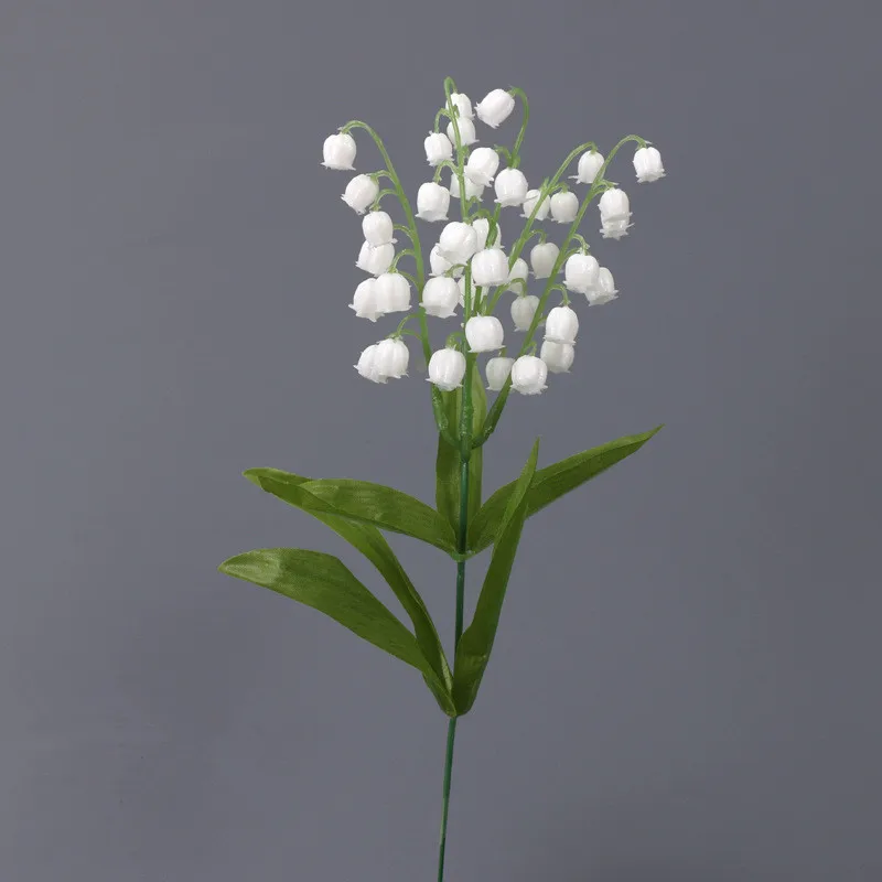 Beautiful pure white bell orchid plastic artificial flowers arrangement supplies home decor fake plants party gifts
Beautiful pure white bell orchid plastic artificial flowers arrangement supplies home decor fake plants party gifts