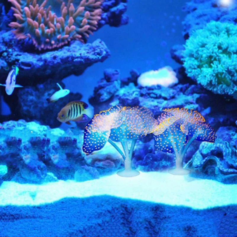 Silicone Glowing Artificial Fish Tank Aquarium Coral Plants Underwater Ornament Simulation Aquatic Sea Plants Decoration
Silicone Glowing Artificial Fish Tank Aquarium Coral Plants Underwater Ornament Simulation Aquatic Sea Plants Decoration