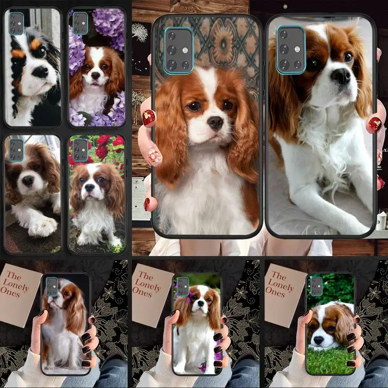 Cavalier King Charles Spaniel Phone Case For Samsung S5 S6 S7 S8 S9 S10 S20 S21 Edge Plus E Fe Lite
Cavalier King Charles Spaniel Phone Case For Samsung S5 S6 S7 S8 S9 S10 S20 S21 Edge Plus E Fe Lite