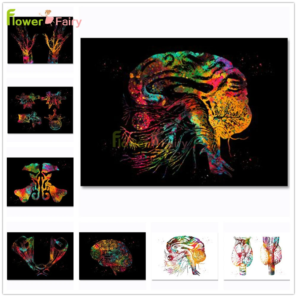 

Human Colorful Skull Nordic Poster Organ Bone Orthopedics Wall Art Canvas Painting Wall Pictures For Living Room Unframed