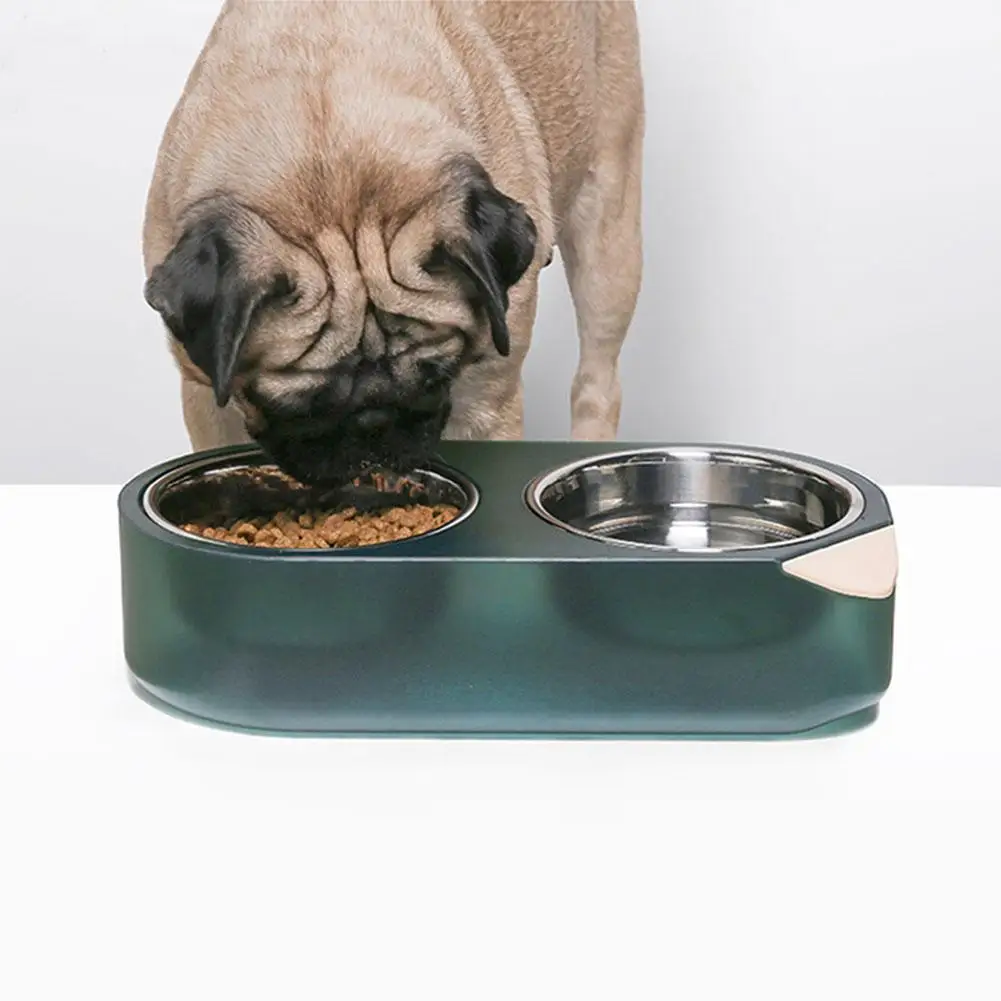 Cat Bowl Elevated Pet Feeder Raised Food And Water Bowl Stainless Steel Heating And Cooling Bowl For Cats And Dogs
Cat Bowl Elevated Pet Feeder Raised Food And Water Bowl Stainless Steel Heating And Cooling Bowl For Cats And Dogs