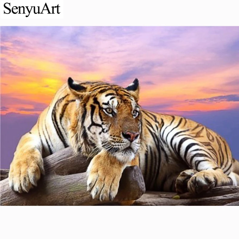 5D Diamond Painting Full Round Embroidery Wall Art Animal Accessories Mosaic Paiting Tiger Picture Cross Stitch Kits Home Decor
5D Diamond Painting Full Round Embroidery Wall Art Animal Accessories Mosaic Paiting Tiger Picture Cross Stitch Kits Home Decor