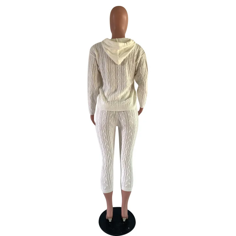 Autumn Winter Two Piece Outfits Knitted Suits Long Sleeve Hooded Sweater Top+Skinny Pant Sweatsuit Casual 2 Piece Matching Set
Autumn Winter Two Piece Outfits Knitted Suits Long Sleeve Hooded Sweater Top+Skinny Pant Sweatsuit Casual 2 Piece Matching Set