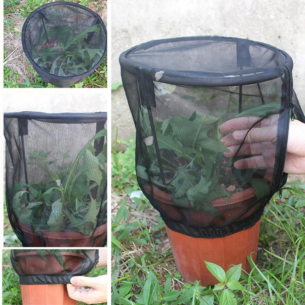 Garden Insect Net Cage Butterfly Insect Habitat Feeding Net Cover Flower Pot Ornamental Plant Insect Net Cage Insect Supplies
Garden Insect Net Cage Butterfly Insect Habitat Feeding Net Cover Flower Pot Ornamental Plant Insect Net Cage Insect Supplies