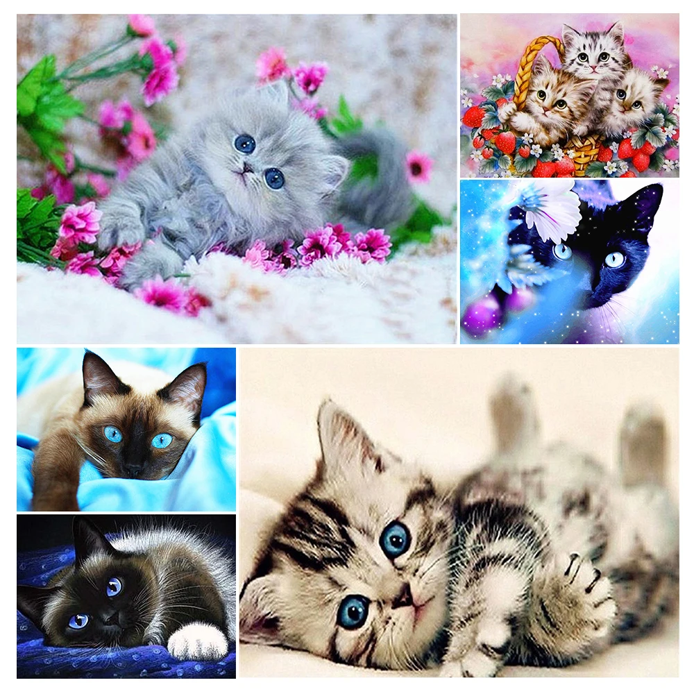 5D Square Diamond Painting Animal Cat Diamond Embroidery Cross Stitch Kit Mosaic Picture DIY Decoration Rhinestone Craft Gift
5D Square Diamond Painting Animal Cat Diamond Embroidery Cross Stitch Kit Mosaic Picture DIY Decoration Rhinestone Craft Gift