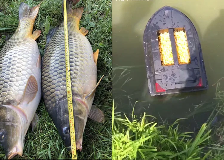 PDDHKK 300m Remote Control Distance Bait Boat Dual 10AH Battery Fishing Bait RC Boat Fish Finder With Double Warehouse
PDDHKK 300m Remote Control Distance Bait Boat Dual 10AH Battery Fishing Bait RC Boat Fish Finder With Double Warehouse