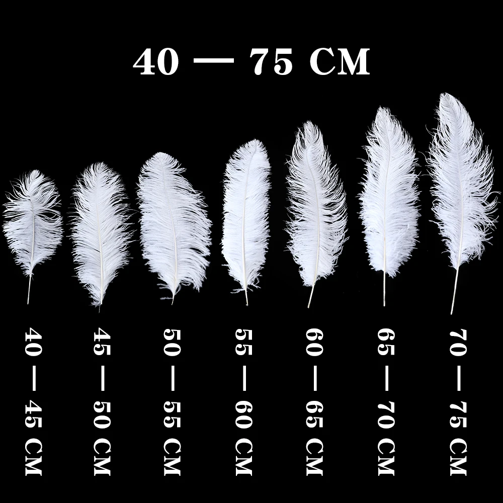 Customized Color Fluffy Real Ostrich Feathers 20-60cm BIg Pole Feathers for Wedding Party Center Pieces Decoration White feather
Customized Color Fluffy Real Ostrich Feathers 20-60cm BIg Pole Feathers for Wedding Party Center Pieces Decoration White feather