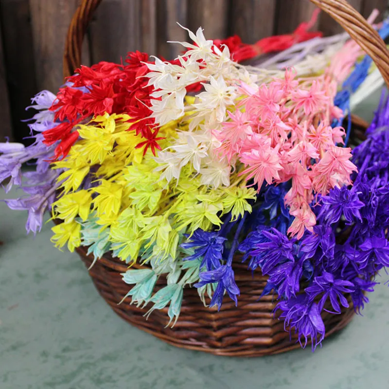 Fresh Style Natural Eternelle Star Anise Flower Lmmortal Bouquet For Home Decor Mother's Day Gifts Scene Layout Shooting Props
Fresh Style Natural Eternelle Star Anise Flower Lmmortal Bouquet For Home Decor Mother's Day Gifts Scene Layout Shooting Props