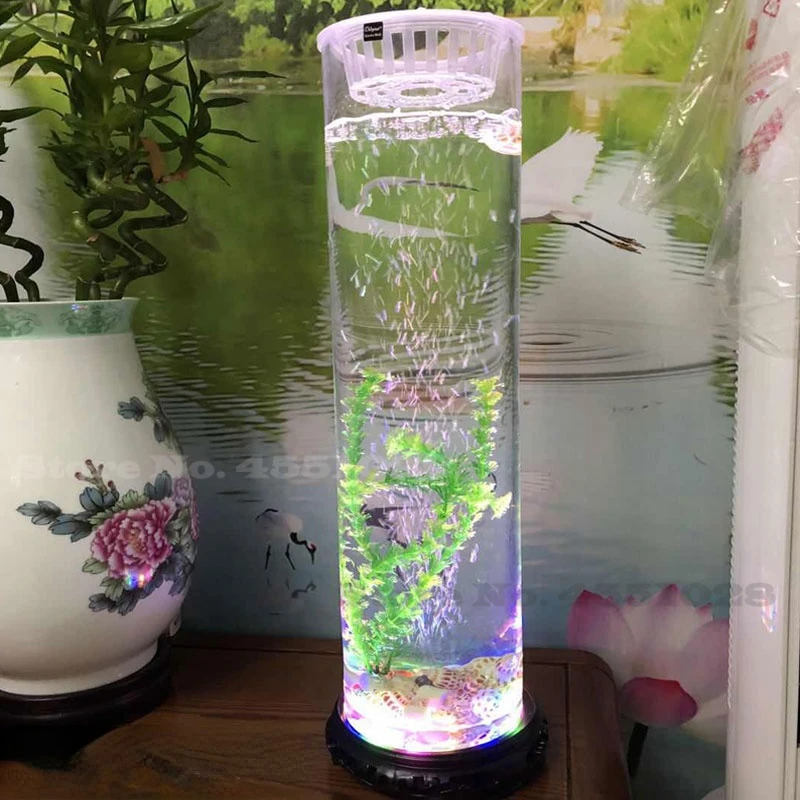 Table Barrel Shape Fish Tank 360 Ultra Clear Glass Fish Bowl Desktop Mini Ecological Aquarium Room Decor with LED Air Pump
Table Barrel Shape Fish Tank 360 Ultra Clear Glass Fish Bowl Desktop Mini Ecological Aquarium Room Decor with LED Air Pump