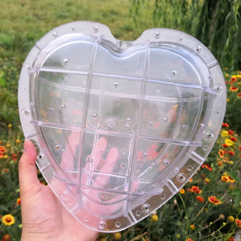 Watermelon Shaping Grow Mold Growth Forming Mold Fruit Shaping Mould Vegetable Growing Mould AUG889
Watermelon Shaping Grow Mold Growth Forming Mold Fruit Shaping Mould Vegetable Growing Mould AUG889