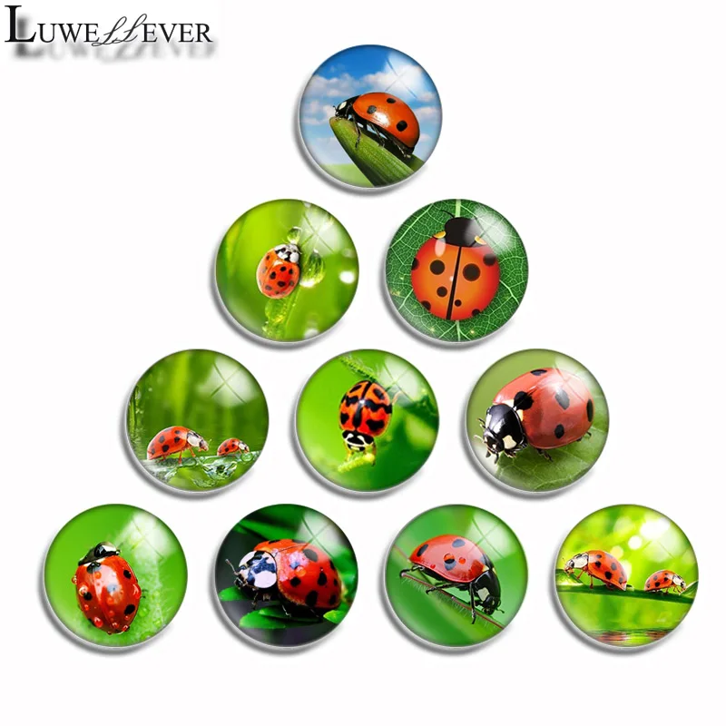 12mm 10mm 16mm 20mm 25mm 30mm 510 Cute Ladybug Mix Round Glass Cabochon Jewelry Finding 18mm Snap Button Charm Bracelet
12mm 10mm 16mm 20mm 25mm 30mm 510 Cute Ladybug Mix Round Glass Cabochon Jewelry Finding 18mm Snap Button Charm Bracelet