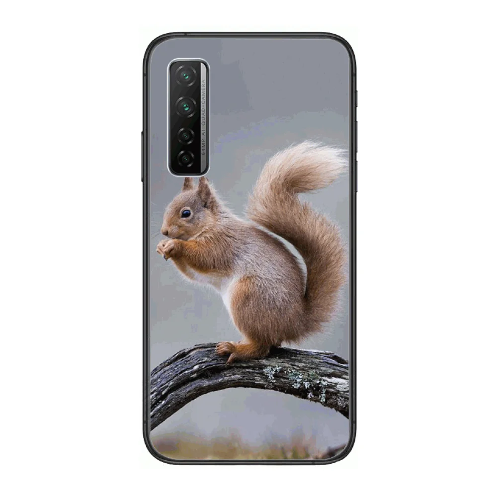 Cute animals, funny and interesting, does it look like you-frosted anti-drop phone case Phone Case For Huawei Nova p10 lite 7 6
Cute animals, funny and interesting, does it look like you-frosted anti-drop phone case Phone Case For Huawei Nova p10 lite 7 6