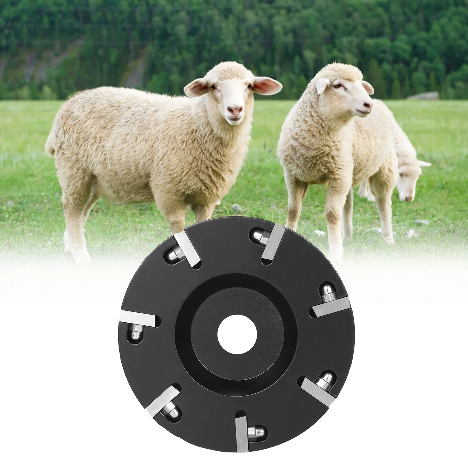 KKmoon Livestock Hoof Trimming Disc Plate Hoof Trimming Discs Hoof Grinding Discs Claws Hoof Care Tool with 7 Blades
KKmoon Livestock Hoof Trimming Disc Plate Hoof Trimming Discs Hoof Grinding Discs Claws Hoof Care Tool with 7 Blades