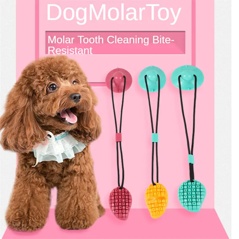 Dog Toys Silicon Suction Cup for Pet Dogs Tug Interactive Ball Toys For Pet Chew Bite Tooth Cleaning Toothbrush Dogs Food Toys
Dog Toys Silicon Suction Cup for Pet Dogs Tug Interactive Ball Toys For Pet Chew Bite Tooth Cleaning Toothbrush Dogs Food Toys