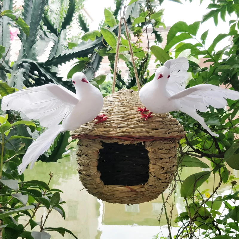 Small Round Bird Cage Parrot Wooden Pigeon Breeding Bird Cage Houses Outdoor Outdoor Nidos Para Pajaros Budgies Nest DL6NL
Small Round Bird Cage Parrot Wooden Pigeon Breeding Bird Cage Houses Outdoor Outdoor Nidos Para Pajaros Budgies Nest DL6NL