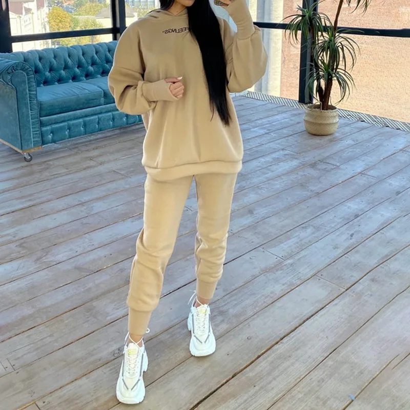 Two Pieces Set Purple Fleece Tracksuits Women Oversized Hooded Sweatshirt+Pants Solid Color Hoodie Suits Autumn Casual Outfits
Two Pieces Set Purple Fleece Tracksuits Women Oversized Hooded Sweatshirt+Pants Solid Color Hoodie Suits Autumn Casual Outfits