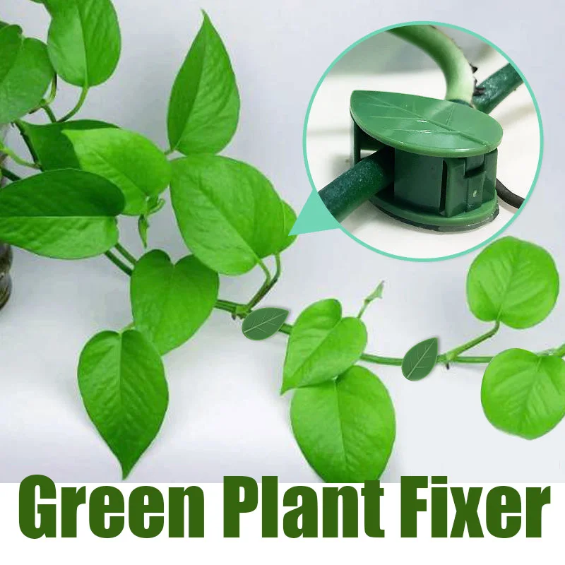 Invisible Wall Rattan Clamp Plant Climbing Wall Self-Adhesive Fixator Vine Buckle Hook Rattan Fixed Clip Bracket Plant Stent Sup
Invisible Wall Rattan Clamp Plant Climbing Wall Self-Adhesive Fixator Vine Buckle Hook Rattan Fixed Clip Bracket Plant Stent Sup