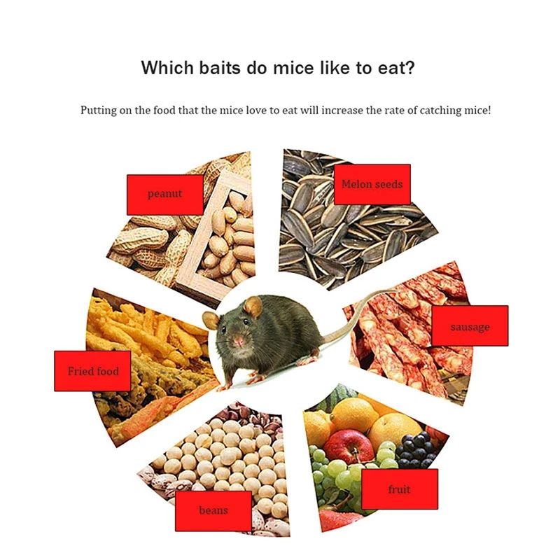 Household Continuous Mousetrap Large Space Automatic Rat Snake Trap Cage Safe and Harmless High Efficiency Mousetrap
Household Continuous Mousetrap Large Space Automatic Rat Snake Trap Cage Safe and Harmless High Efficiency Mousetrap