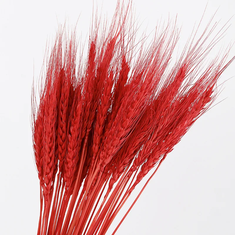 20pcs Colorful Wheat flower rabbit tail grass Natural Dried Flowers Artificial Home Wedding Living Room Decoration Long Bouquet
20pcs Colorful Wheat flower rabbit tail grass Natural Dried Flowers Artificial Home Wedding Living Room Decoration Long Bouquet