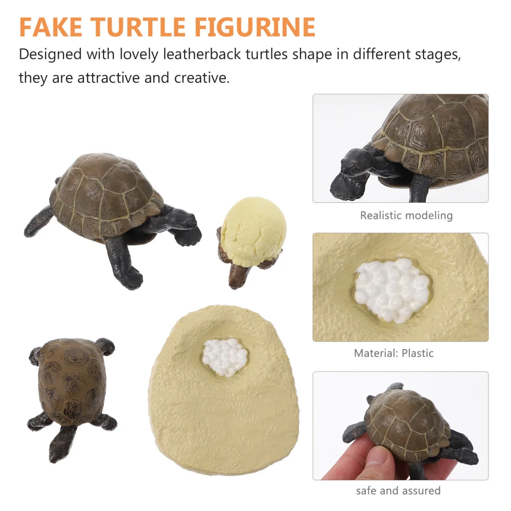 1 Set Children Tortoise Cognitive Models Animal Growth Stage Models Playthings
1 Set Children Tortoise Cognitive Models Animal Growth Stage Models Playthings