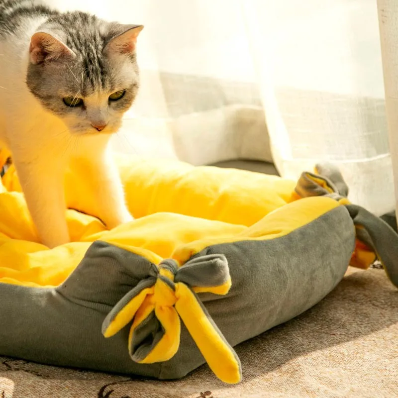 Кровать для домашних животных, прямоугольная плюшевая кровать с подогревом, для кошек и собак, новый тип
Кровать для домашних животных, прямоугольная плюшевая кровать с подогревом, для кошек и собак, новый тип