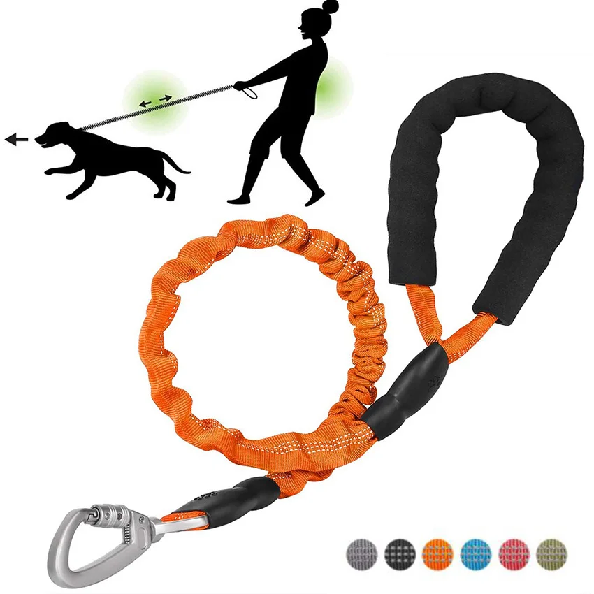 Dog Leash Reflective Elastic Nylon Rope With Padded Handle Safety Walking Harness Collar Leader Rope For Small Medium Large Dogs
Dog Leash Reflective Elastic Nylon Rope With Padded Handle Safety Walking Harness Collar Leader Rope For Small Medium Large Dogs