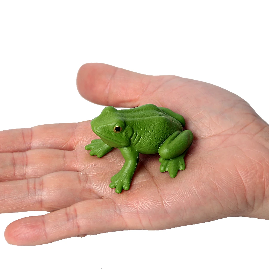 Lifelike Frog Life Cycle Stages Action Figures Great as visual aid for the classroom Model Figures Educational Toys for kids
Lifelike Frog Life Cycle Stages Action Figures Great as visual aid for the classroom Model Figures Educational Toys for kids