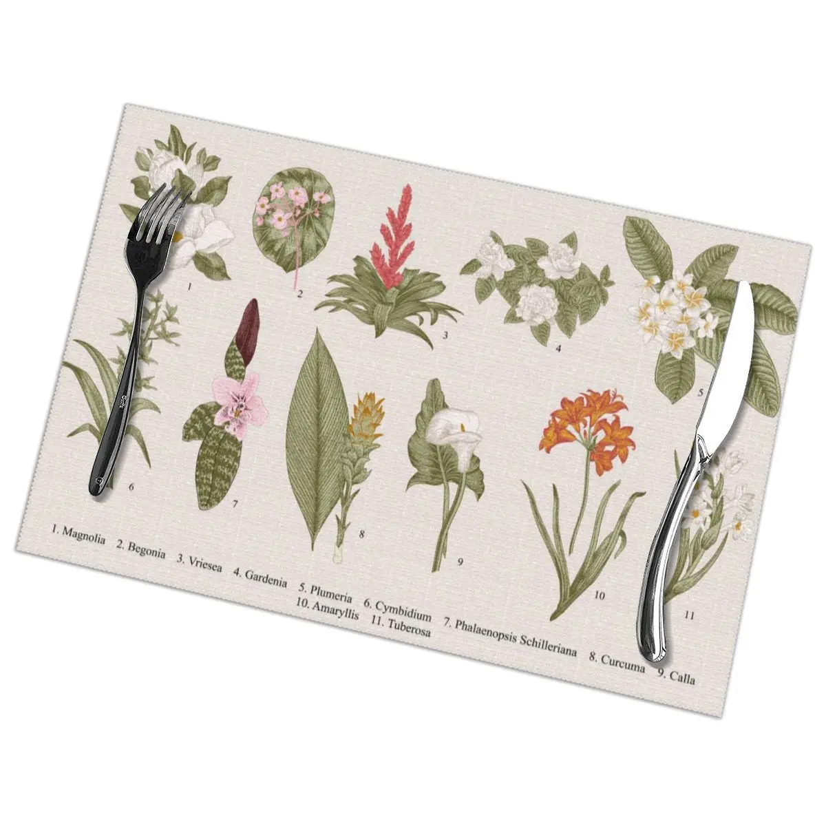 6 Pcs Placemat Table Mat Exotic Flowers Vintage Botanical Illustration For Tables Heat-insulation Linen Kitchen Dining Pads
6 Pcs Placemat Table Mat Exotic Flowers Vintage Botanical Illustration For Tables Heat-insulation Linen Kitchen Dining Pads
