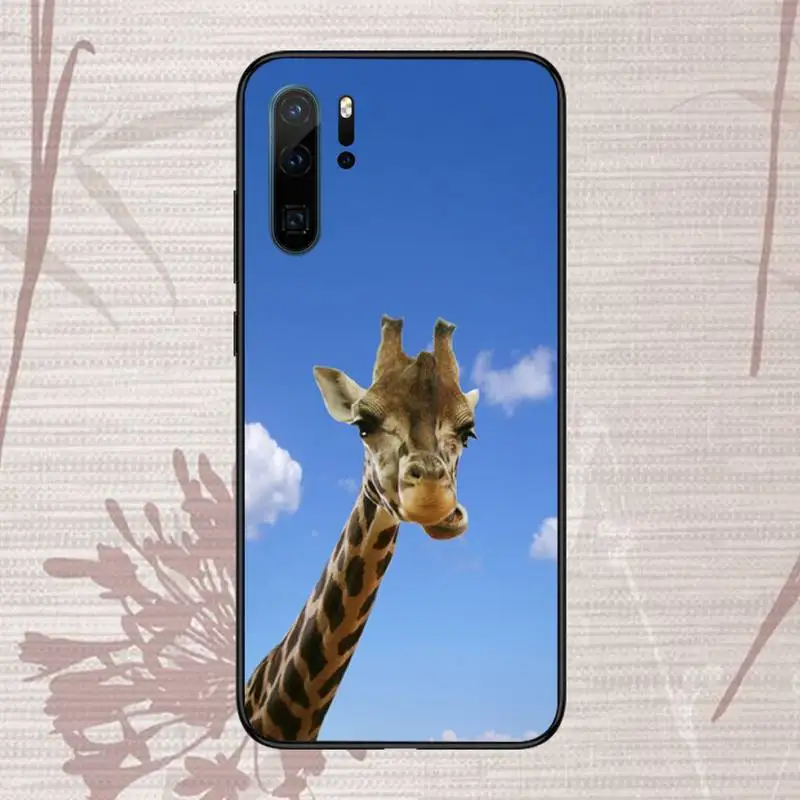 Giraffe funny funny blue sky grass Phone Case For Huawei honor Mate P 9 10 20 30 40 Pro 10i 7 8 a x Lite nova 5t
Giraffe funny funny blue sky grass Phone Case For Huawei honor Mate P 9 10 20 30 40 Pro 10i 7 8 a x Lite nova 5t